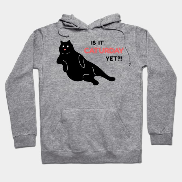 Is it Caturday Yet? Hoodie by Bitycat